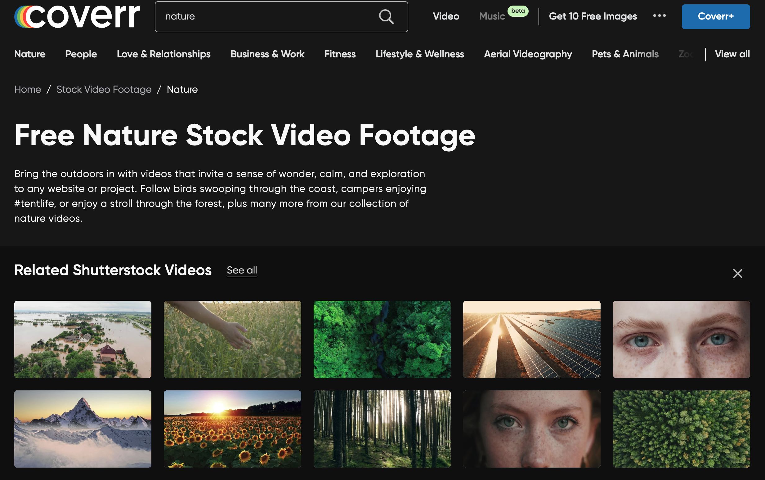 무료 동영상 사이트