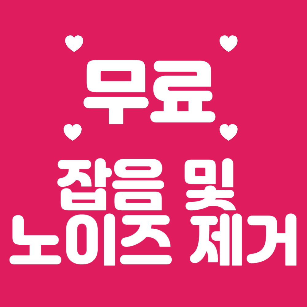 노이즈 제거 프로그램