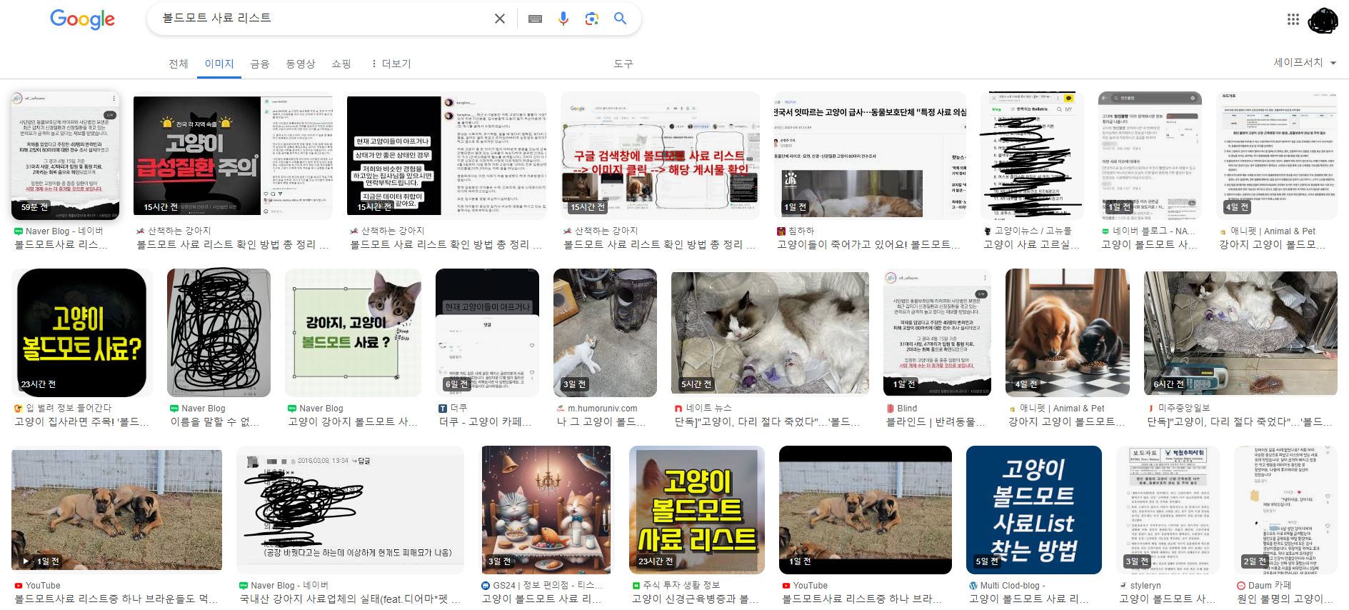 볼드모트 사료 리스트