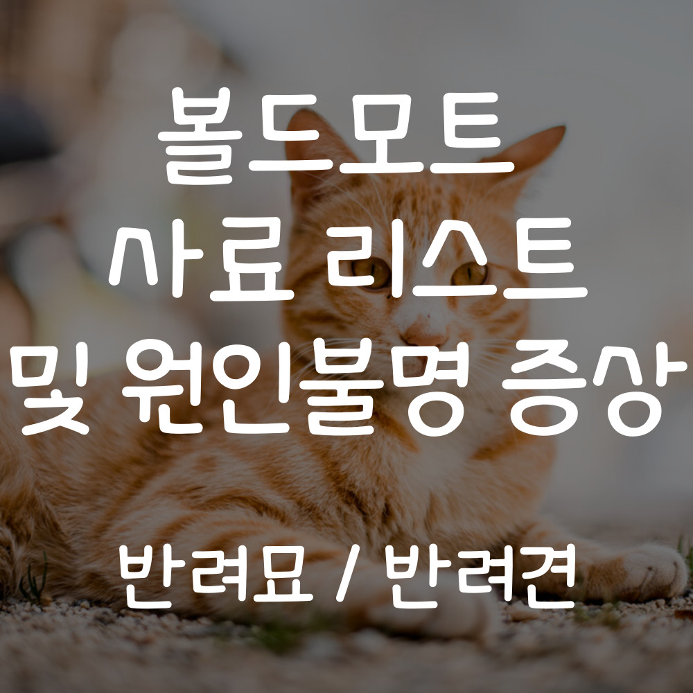 볼드모트 사료 리스트