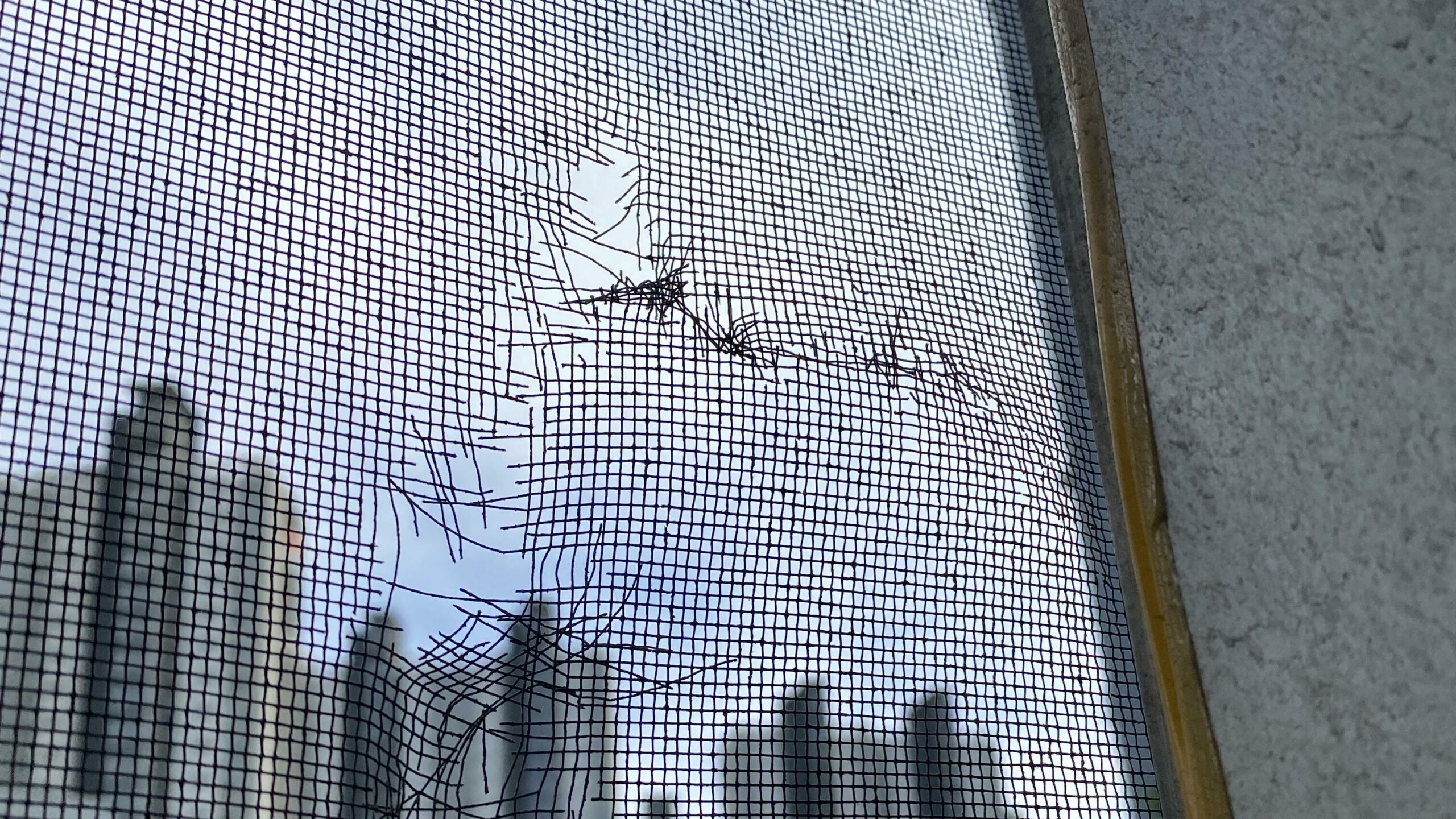 모기 유입 차단