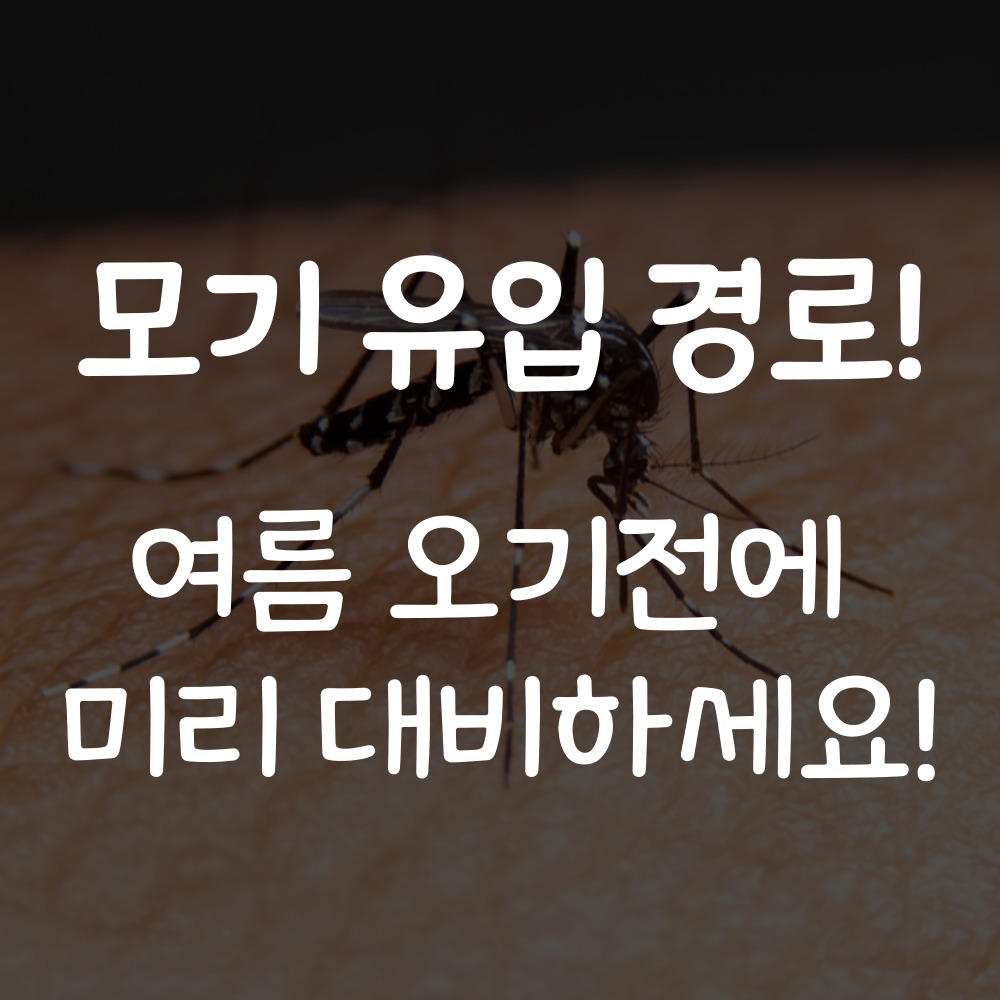 모기 유입 경로