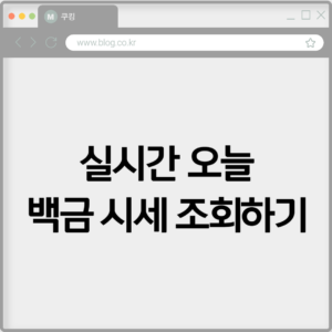 실시간 오늘 백금 시세 조회하기 6 실시간 오늘 백금 시세 조회하기